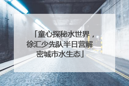 童心探秘水世界，徐汇少先队半日营解密城市水生态