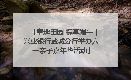 童趣田园 粽享端午｜兴业银行盐城分行举办六一亲子嘉年华活动