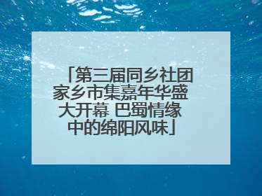 第三届同乡社团家乡市集嘉年华盛大开幕 巴蜀情缘中的绵阳风味
