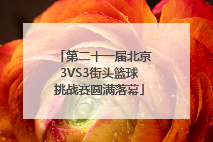 第二十一届北京3VS3街头篮球挑战赛圆满落幕