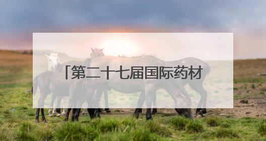 第二十七届国际药材节在河北安国开幕