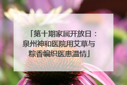 第十期家属开放日：泉州神和医院用艾草与粽香编织医患温情
