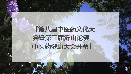 第八届中医药文化大会暨第三届沂山论健·中医药健康大会开幕