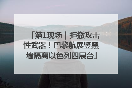 第1现场｜拒撤攻击性武器！巴黎航展竖黑墙隔离以色列四展台