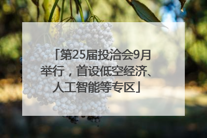 第25届投洽会9月举行，首设低空经济、人工智能等专区