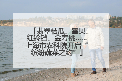 翡翠桔瓜、雪贝、红铃铛、金寿桃……上海市农科院开启“缤纷蔬菜之约”