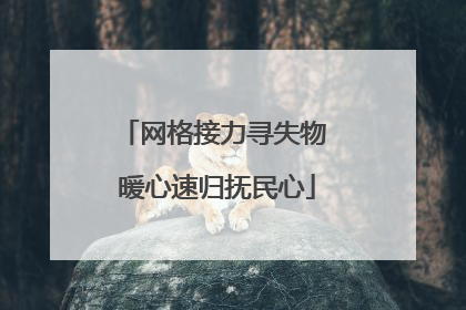 网格接力寻失物 暖心速归抚民心