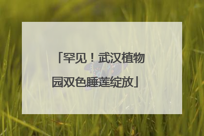 罕见！武汉植物园双色睡莲绽放