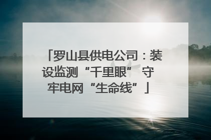 罗山县供电公司：装设监测“千里眼” 守牢电网“生命线”