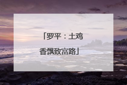 罗平：土鸡香飘致富路