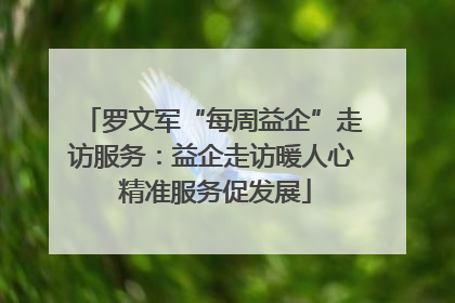 罗文军“每周益企”走访服务：益企走访暖人心 精准服务促发展
