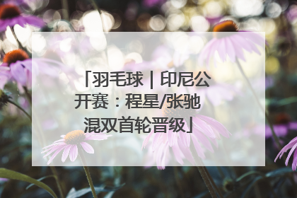 羽毛球｜印尼公开赛：程星/张驰混双首轮晋级