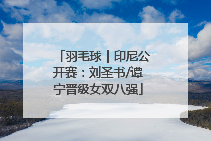 羽毛球｜印尼公开赛：刘圣书/谭宁晋级女双八强