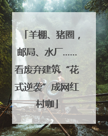 羊棚、猪圈，邮局、水厂……看废弃建筑“花式逆袭”成网红村咖