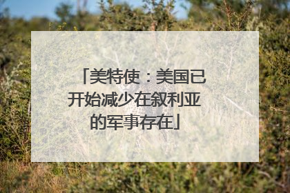 美特使：美国已开始减少在叙利亚的军事存在