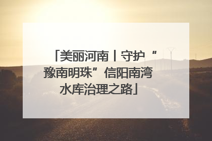 美丽河南丨守护“豫南明珠”信阳南湾水库治理之路