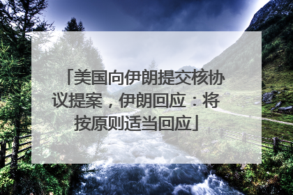 美国向伊朗提交核协议提案，伊朗回应：将按原则适当回应