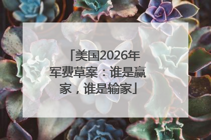 美国2026年军费草案：谁是赢家，谁是输家