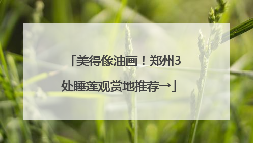 美得像油画！郑州3处睡莲观赏地推荐→