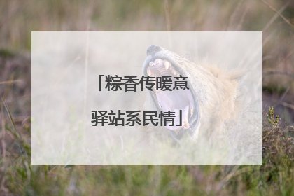 粽香传暖意 驿站系民情