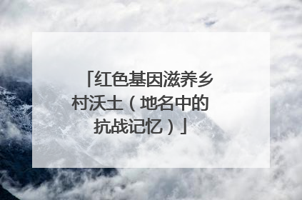 红色基因滋养乡村沃土（地名中的抗战记忆）