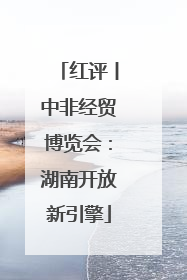 红评丨中非经贸博览会：湖南开放新引擎