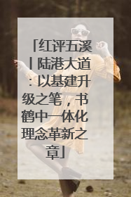 红评五溪丨陆港大道：以基建升级之笔，书鹤中一体化理念革新之章