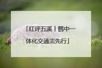 红评五溪丨鹤中一体化交通需先行