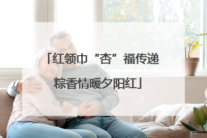 红领巾“杏”福传递 粽香情暖夕阳红