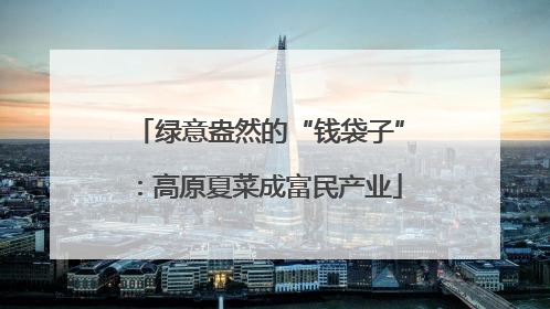 绿意盎然的“钱袋子”：高原夏菜成富民产业