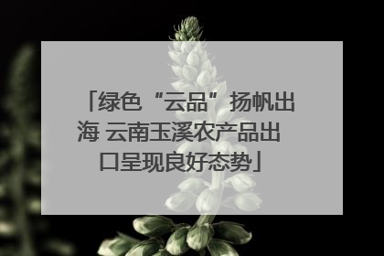 绿色“云品”扬帆出海 云南玉溪农产品出口呈现良好态势