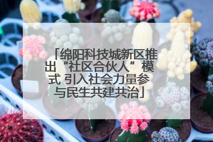 绵阳科技城新区推出“社区合伙人”模式 引入社会力量参与民生共建共治