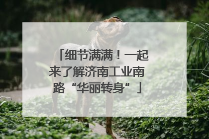 细节满满！一起来了解济南工业南路“华丽转身”