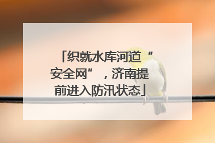 织就水库河道“安全网”，济南提前进入防汛状态