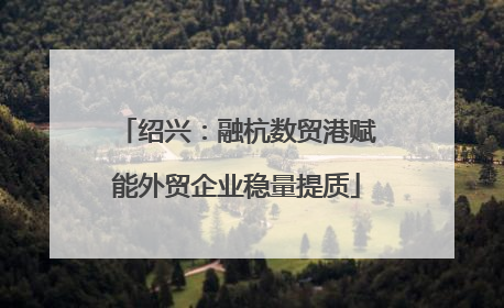 绍兴：融杭数贸港赋能外贸企业稳量提质