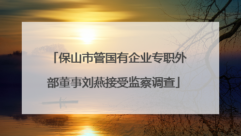 保山市管国有企业专职外部董事刘燕接受监察调查