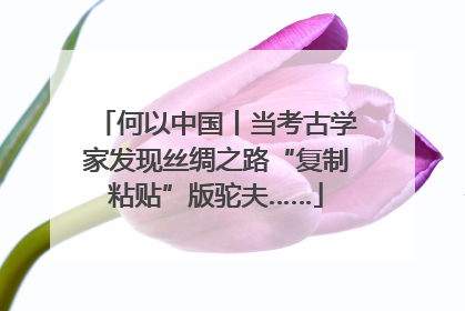 何以中国丨当考古学家发现丝绸之路“复制粘贴”版驼夫……