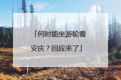 何时能坐游轮看安庆？回应来了