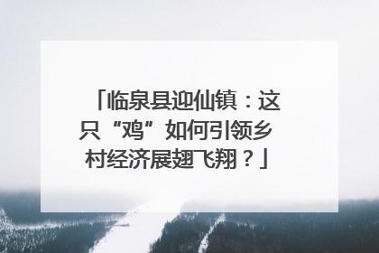 临泉县迎仙镇：这只“鸡”如何引领乡村经济展翅飞翔？