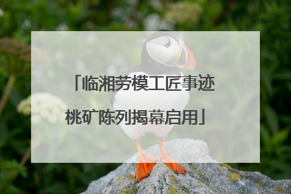 临湘劳模工匠事迹桃矿陈列揭幕启用
