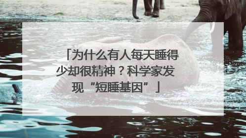 为什么有人每天睡得少却很精神？科学家发现“短睡基因”
