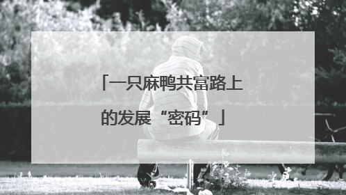 一只麻鸭共富路上的发展“密码”