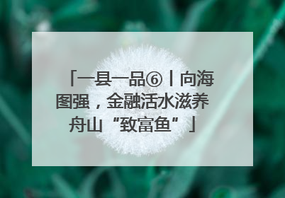 一县一品⑥丨向海图强，金融活水滋养舟山“致富鱼”