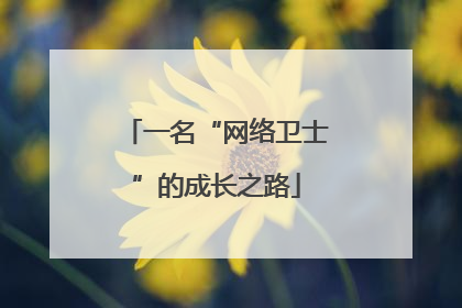一名“网络卫士”的成长之路