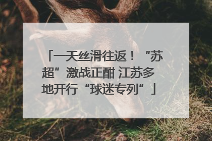 一天丝滑往返！“苏超”激战正酣 江苏多地开行“球迷专列”