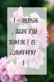 一池热汤，温润了银发时光｜在云南样样好