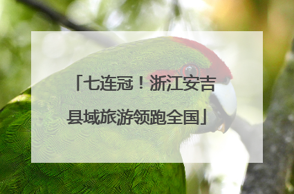 七连冠！浙江安吉县域旅游领跑全国
