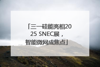 三一硅能亮相2025 SNEC展，智能微网成焦点