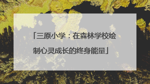 三原小学：在森林学校绘制心灵成长的终身能量