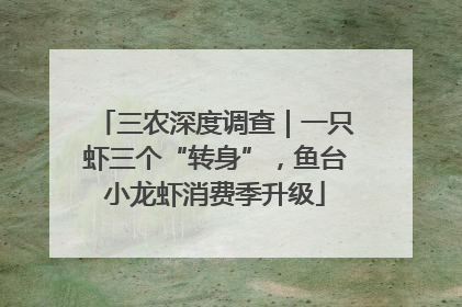 三农深度调查｜一只虾三个“转身”，鱼台小龙虾消费季升级
